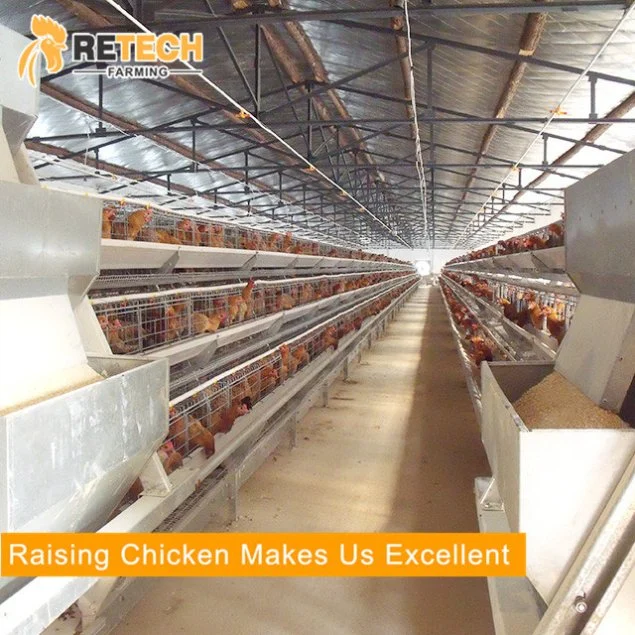 Automatische A-Typ-Batterie-Schicht-Hühnerkäfige für Kenya Farm
