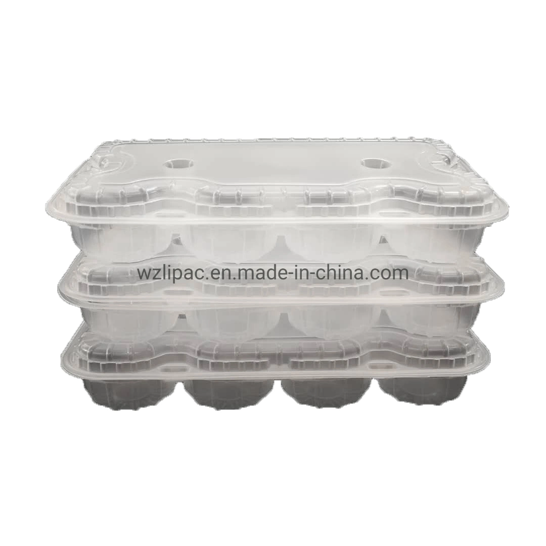 Disposable Plastic Cupcake Box Dividers Hinged Style Cupcake Container