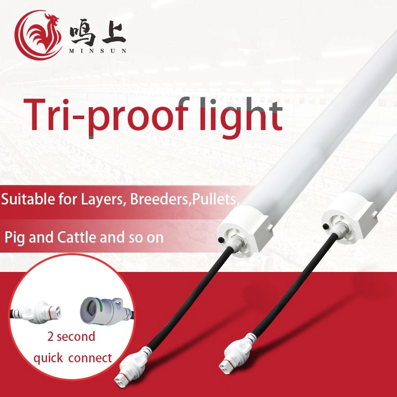 Anti-Corrosion LED Tri-Proof Light Pig Lighting Suitable for Pregnancy Location Bar and Ceiling Farrowing House