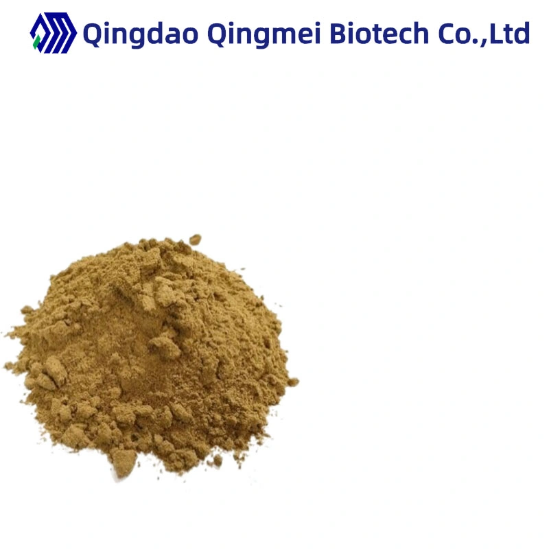 Herbal Extract Natural Organic Ginkgo Biloba Extract 24% Flavonoids Ginkgo Leaf Extract Powder