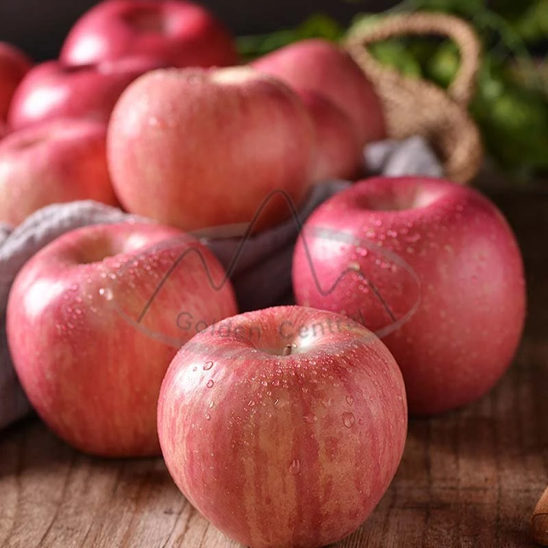 A Grade Food Grade Fresh Apple Red Apples