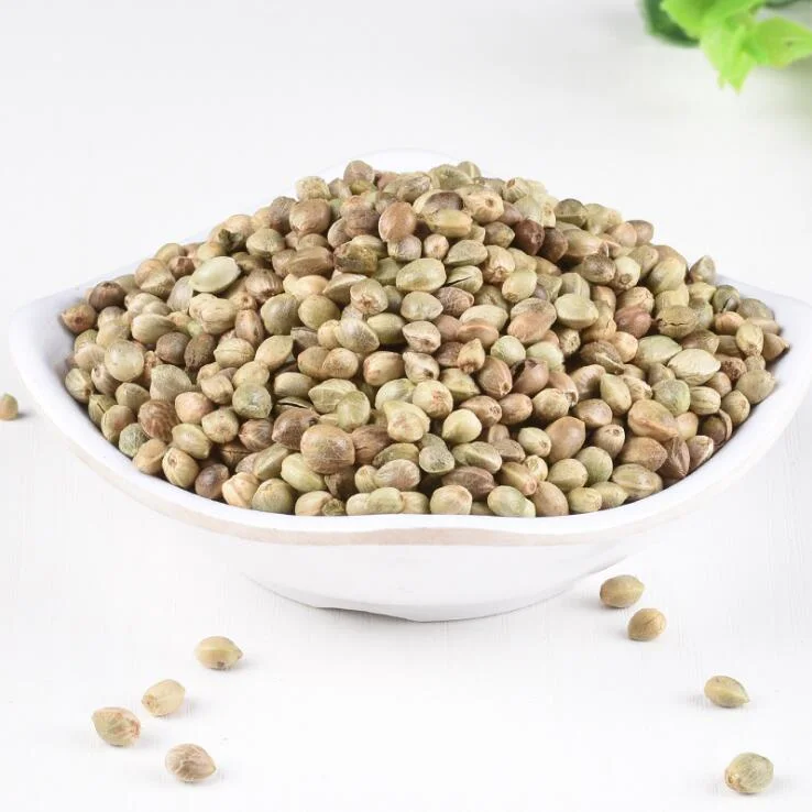 Huo Ma Ren Traditional Chinese Medicine Chinese Dried Seed