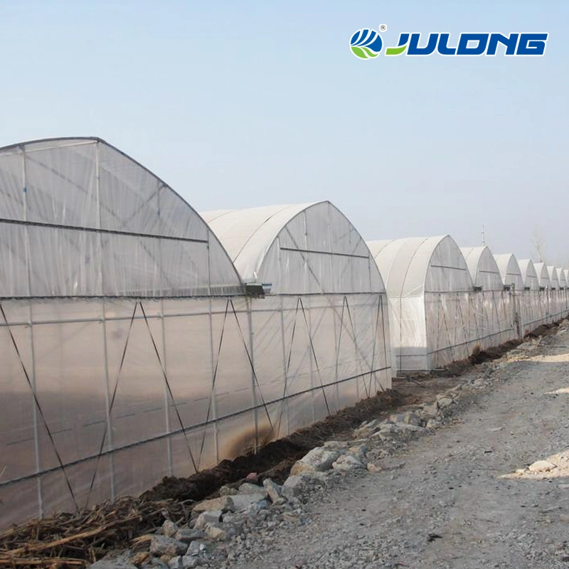 Agricultural Tomato Strawberry Growing Po/PE Plastic Film Greenhouse with Installation