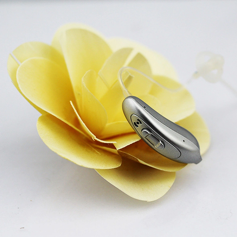 Chinese Good Quality Digital Bte Bluetooth Hearing Aid