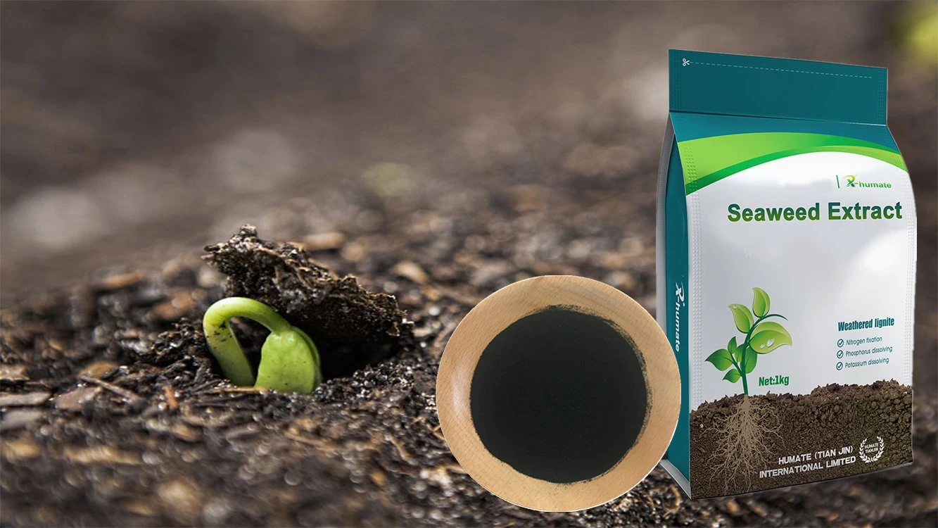 Agriculture Organic Fertilizer 100% Soluble in Water Powder Seaweed Extract