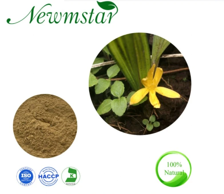 2022 Factory Supply Curculigo Orchioides Rhizome Extract 98% Curculigoside&20: 1 Root Extract Rhizome