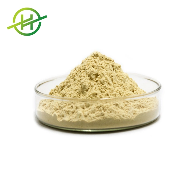 Factory Supply Powder Astragali Root Extract Powder Astragaloside Polysaccharide