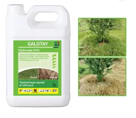 Bulk Price Top Sale Glyphosate 95%Tc, 360SL, 480SL, 62%Ipa, 75.7% Wsg