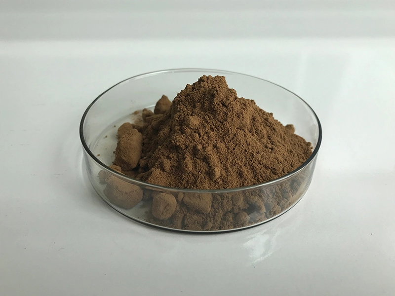 Enhance Immunity Ganoderma Lucidum Spore Powder