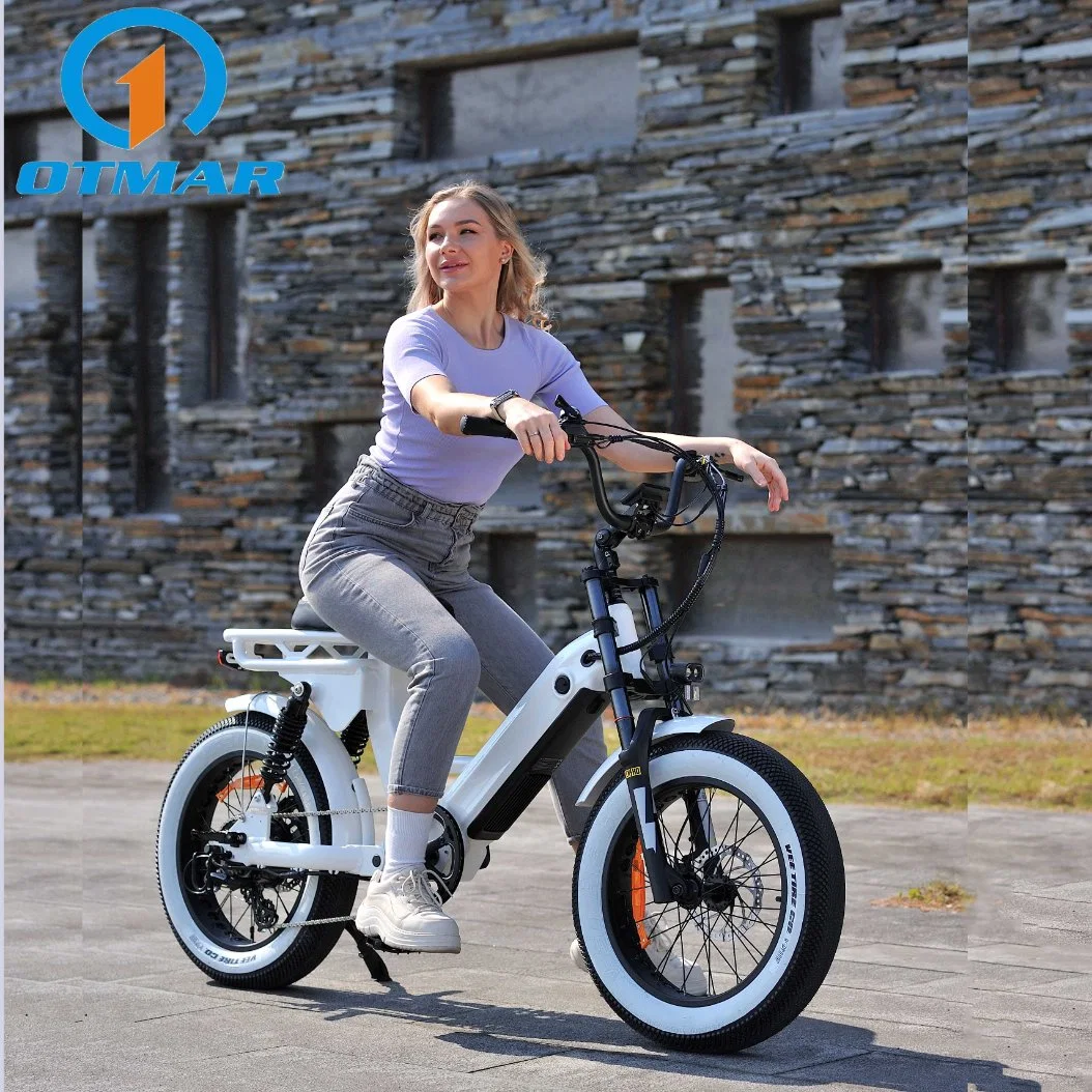 New Design 20 Inch Integrated Battery Retro Electric Bicycle