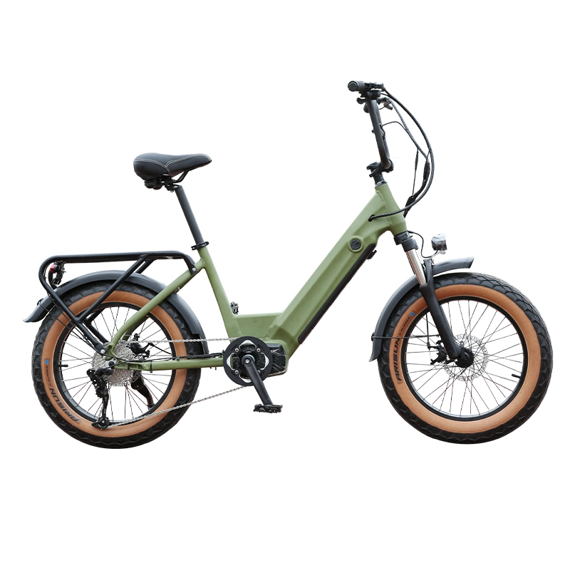 Ebike Folding Electric Bike Electric Bike 500W Ebike