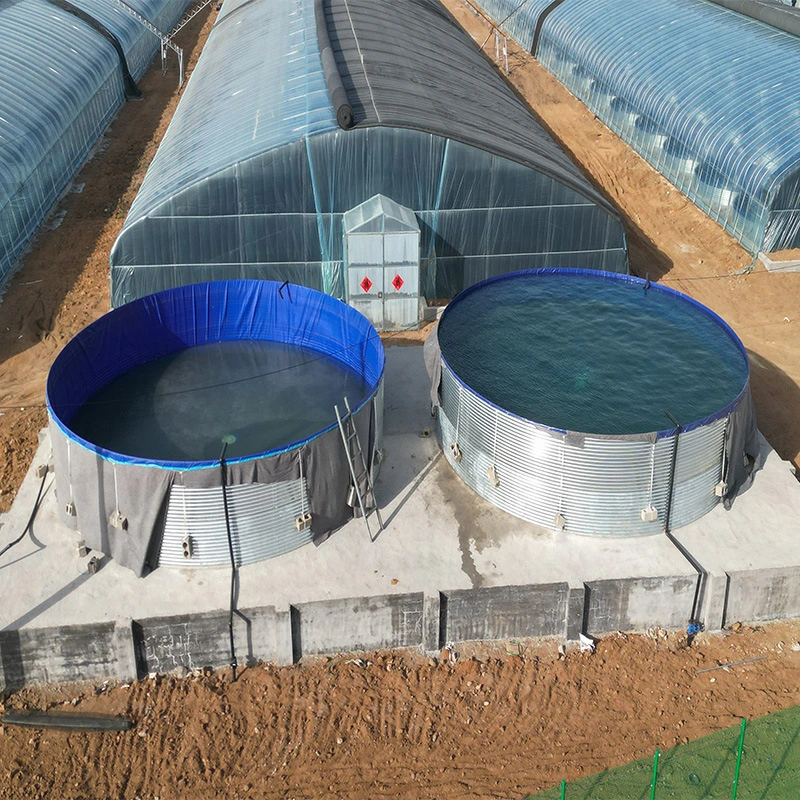 Recirculating Aquaculture System Tanks Tilapia Fish Farming 1000L~1000, 000L