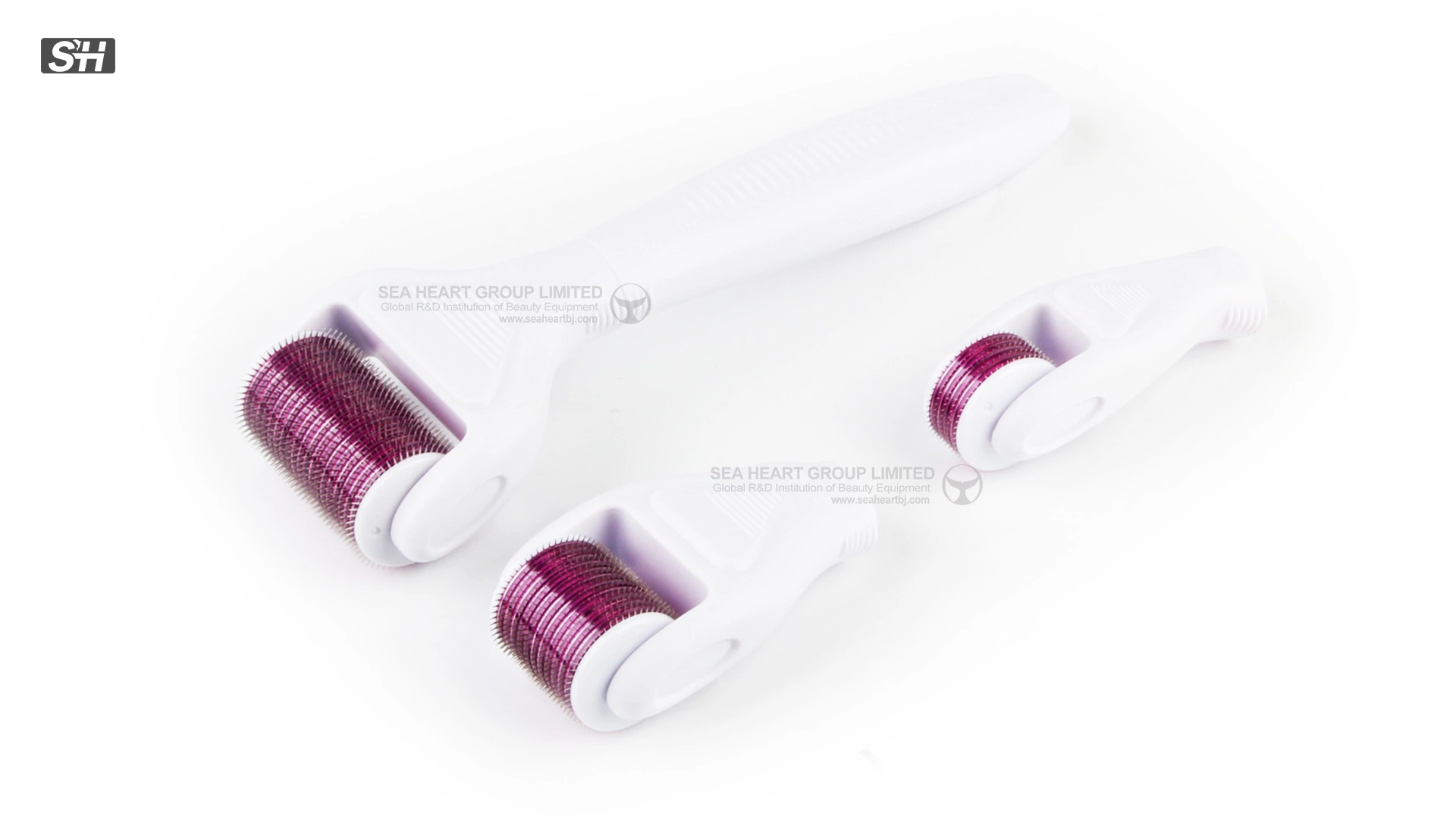 Derma Roller ميكرونيكل تيتانيوم العناية بالبشرة أدوات Micro Derma Roller 4 في 1 مع صندوق للبيع