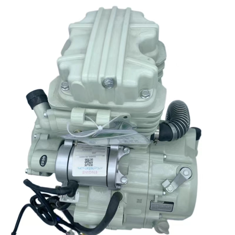 OEM Zongshen Cg200cc 4-Stroke Water-Cooling Engine Moto Spare Parts Suitable Scooter Load Three-Wheels Motorcycle