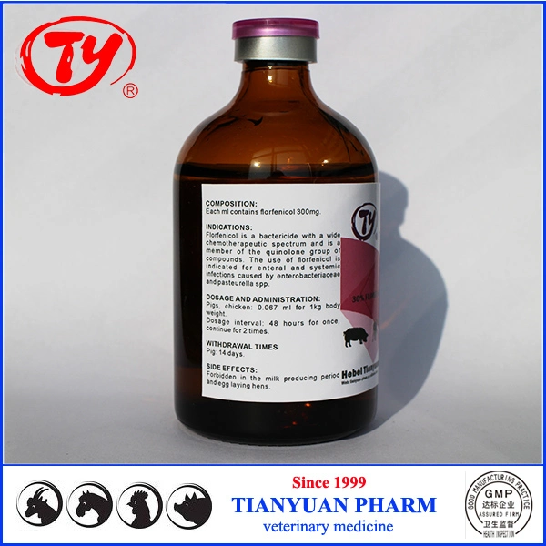 Animal Medicine Florfenicol for Horse Cattle Sheep Health Cure