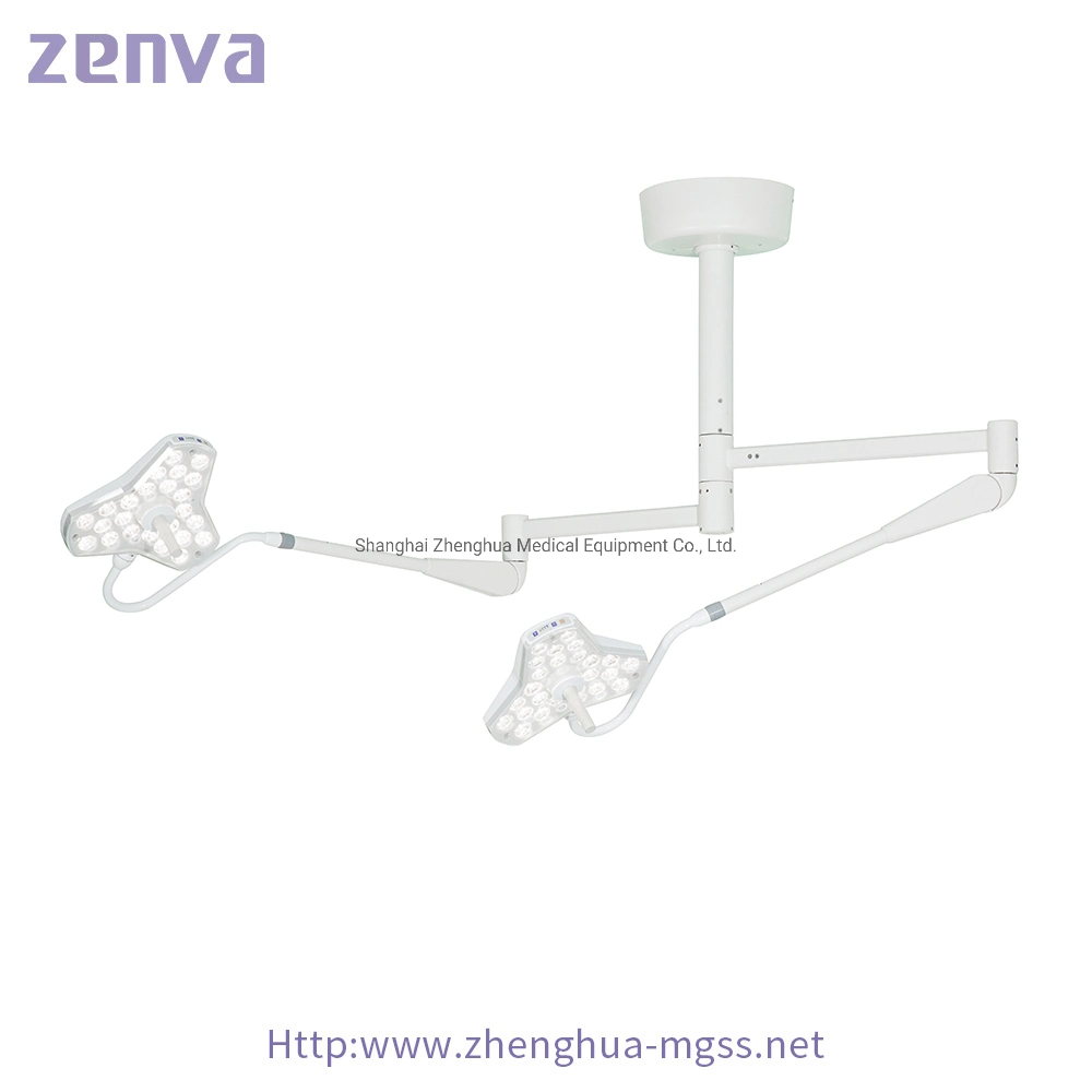 Medical Examination Lamp for Veterinary/Dental/Beauty