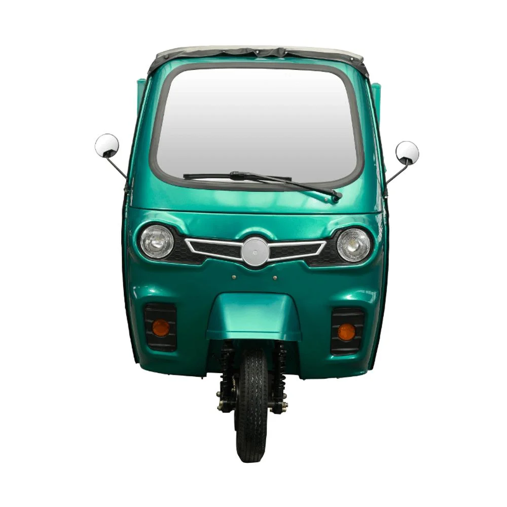 4000W Strong Power Electric Cargo Rickshaw Large Load Capacity Auto Electric Tricycle From EV Factory