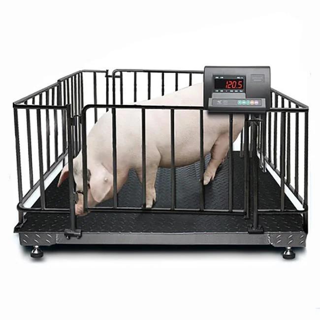 High Accuacy 1000kg Digital Cattle Livestock Weighing Scale for Pig