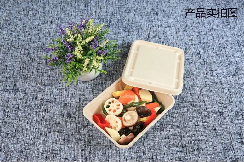 Unbleached Sugarcane/Bamboo Square Salad Box Bagasse Tableware