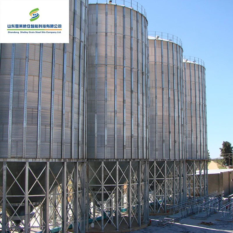 Shelley silo de maíz de alta humedad de la torre de alimentación de acero de China Proveedores de silos de chapa de acero atornillado general de almacenamiento de grano de arroz cáscara inferior de la tolva de Silo silo