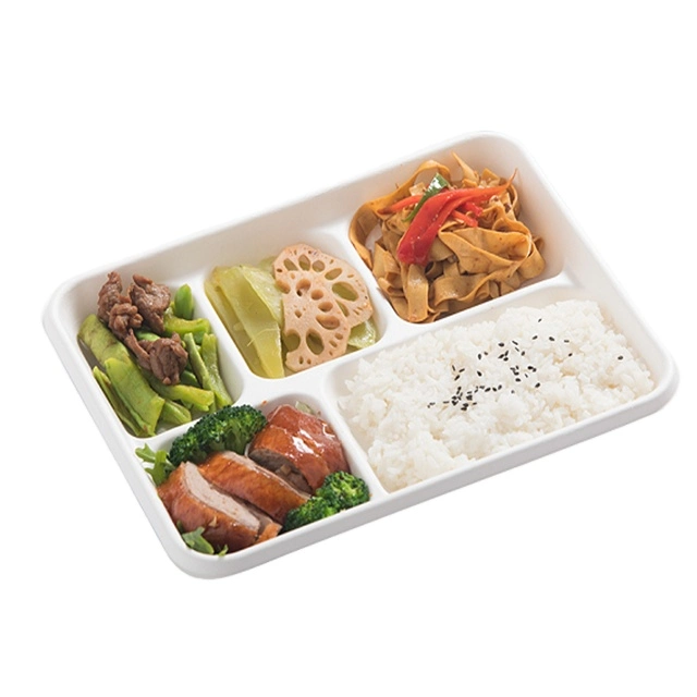 Promotional Biodegradable Food Bagasse School Lunch Tray Square Food Tray, Promotional Disposable Checkered Dinner Tray