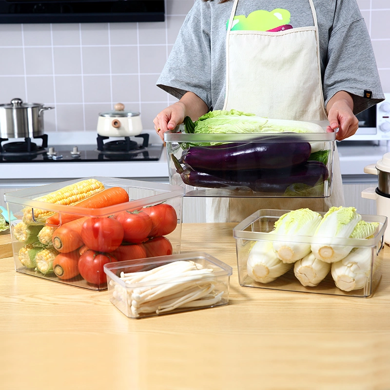 Cozinha doméstica armazenamento de alimentos Bins vegetal suporte de alimentos Clear Portable Recipiente de armazenamento de alimentos de bancada Pantry de plástico