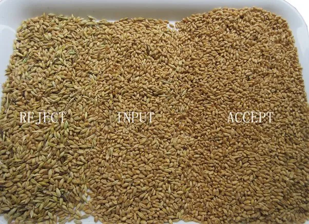 Máquina de clasificación de color RGB CCD Equipo de limpieza para procesamiento de color de trigo