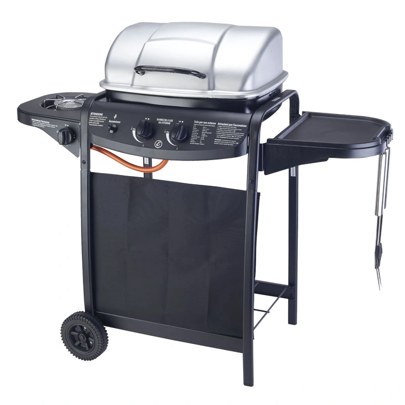 Outdoor Gas BBQ Grill 2 Burners