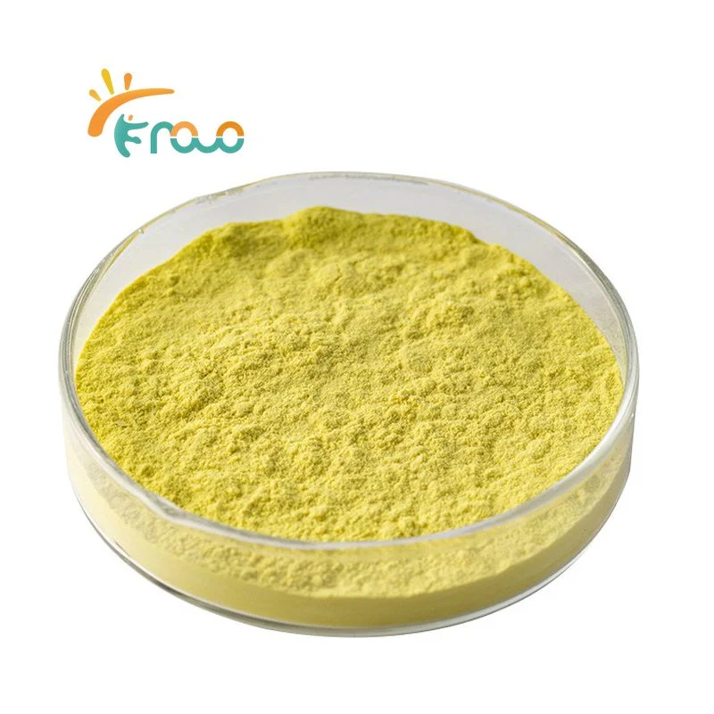 High Quality Berberis Extract Powder Berberine Hydrochloride 98% Berberine HCl