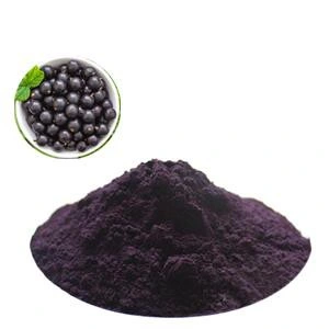 Extracto de grosella negra Anti-Oxidiant 5%-25% de las antocianinas