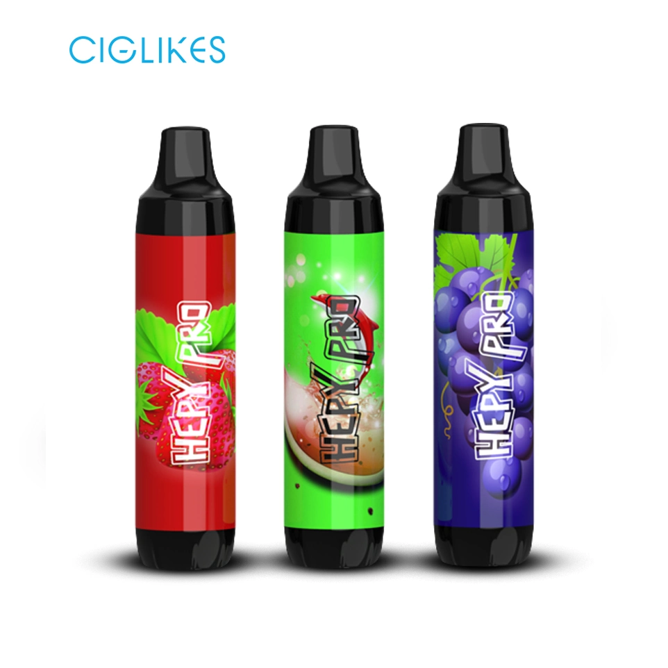 2022 New Rechargeable Hookah Pen Disposable/Chargeable Vape Plastic Case Happy Vaping 510 Smoking Accessories Vuse