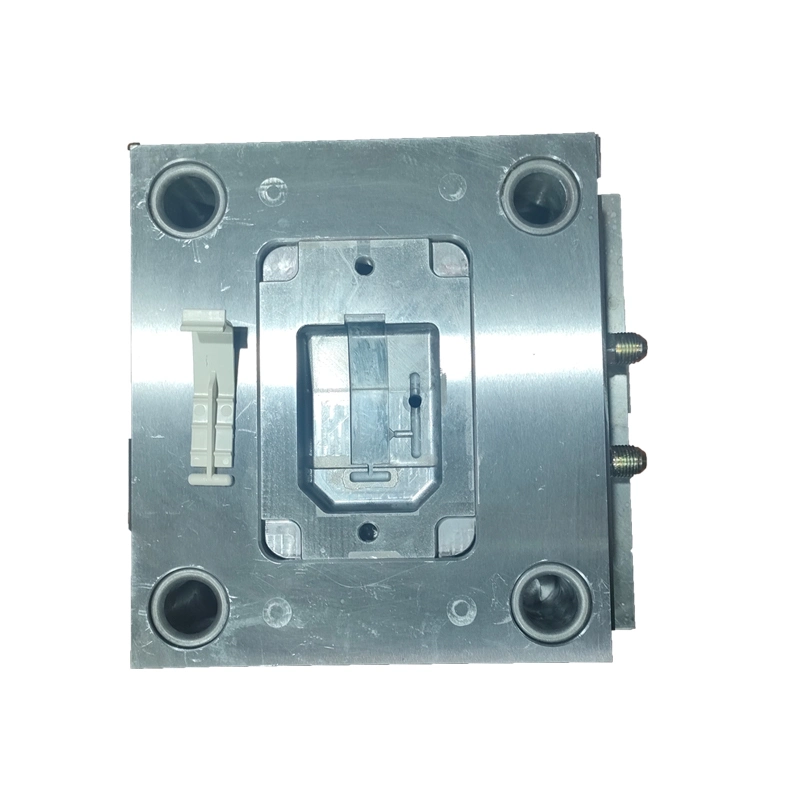 Multi-Cavity Die Molding Plastic Moulding Injection Mold Tool Plastic Parts Injection Moulding Tool Design