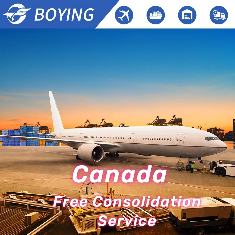 Professional Air Shipping Company Forwarder China Ship to America/Canada/Europe/Australia by Air+Express