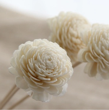 Handmade of Wood Sola Dried Flowers in Air Fresheners/Sola Reed Flower Stick