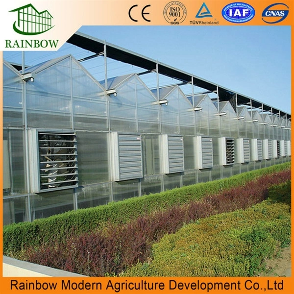 Rainbow Factory Direct Sale PC Board Greenhouse