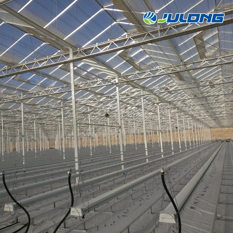 Customized Eco-Friendly Multispan Galvanized Steel Frame Polycarbonate Greenhouse