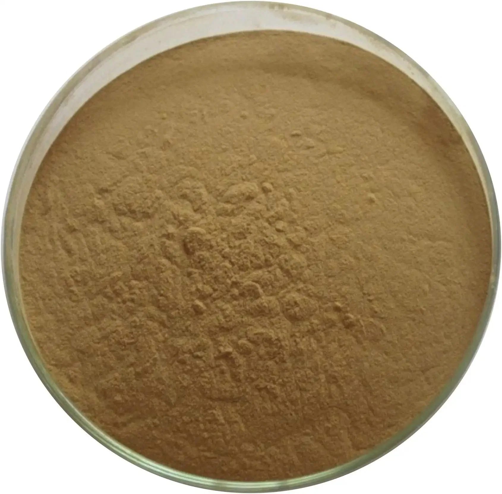 Pharmaceutical Organic Intermediate 4-Amino-3, 5-Dichloroacetophenone CAS 37148-48-4