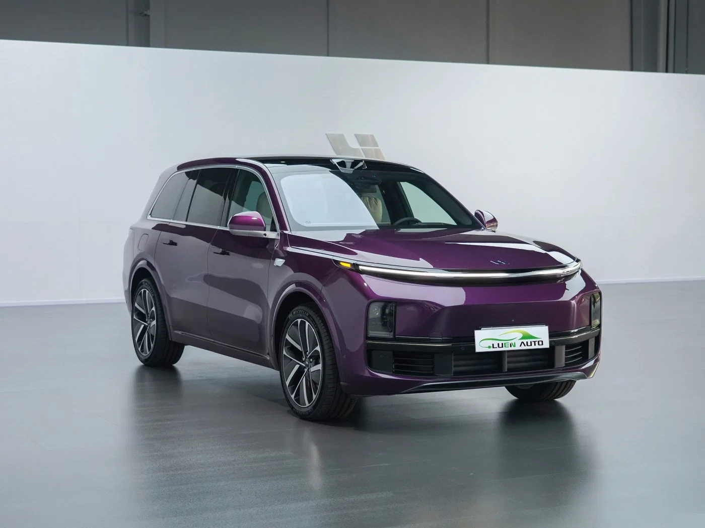 Авто High-Speed 4колёса L9 сделано в Китае Auto L9 Electric Автомобили