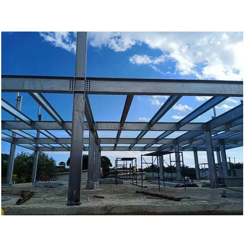 DIN Standard and Steel Structure Manufacturing Application Steel Building