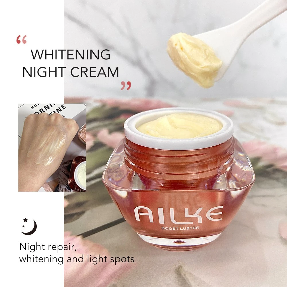 Ailke Daily Personal Use Whitening Serum Facial Toner Day Night Face Cream Facial Care Kit Skincare Set