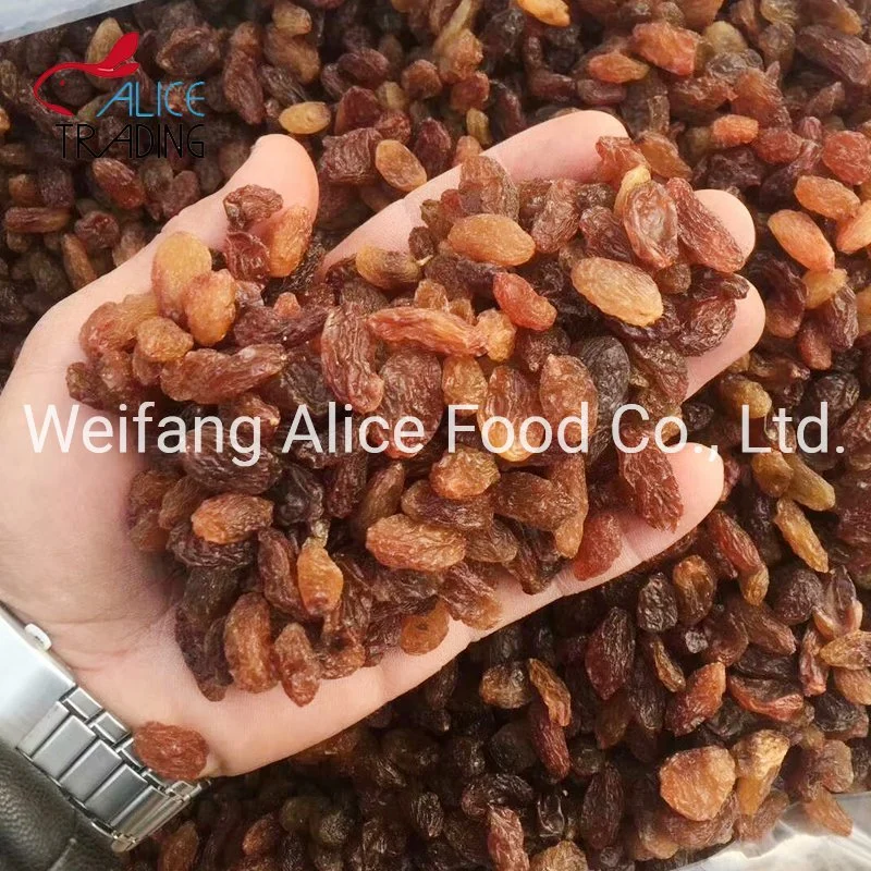 De bonne qualité en vrac chinoise du Xinjiang raisins secs sultanines rouge