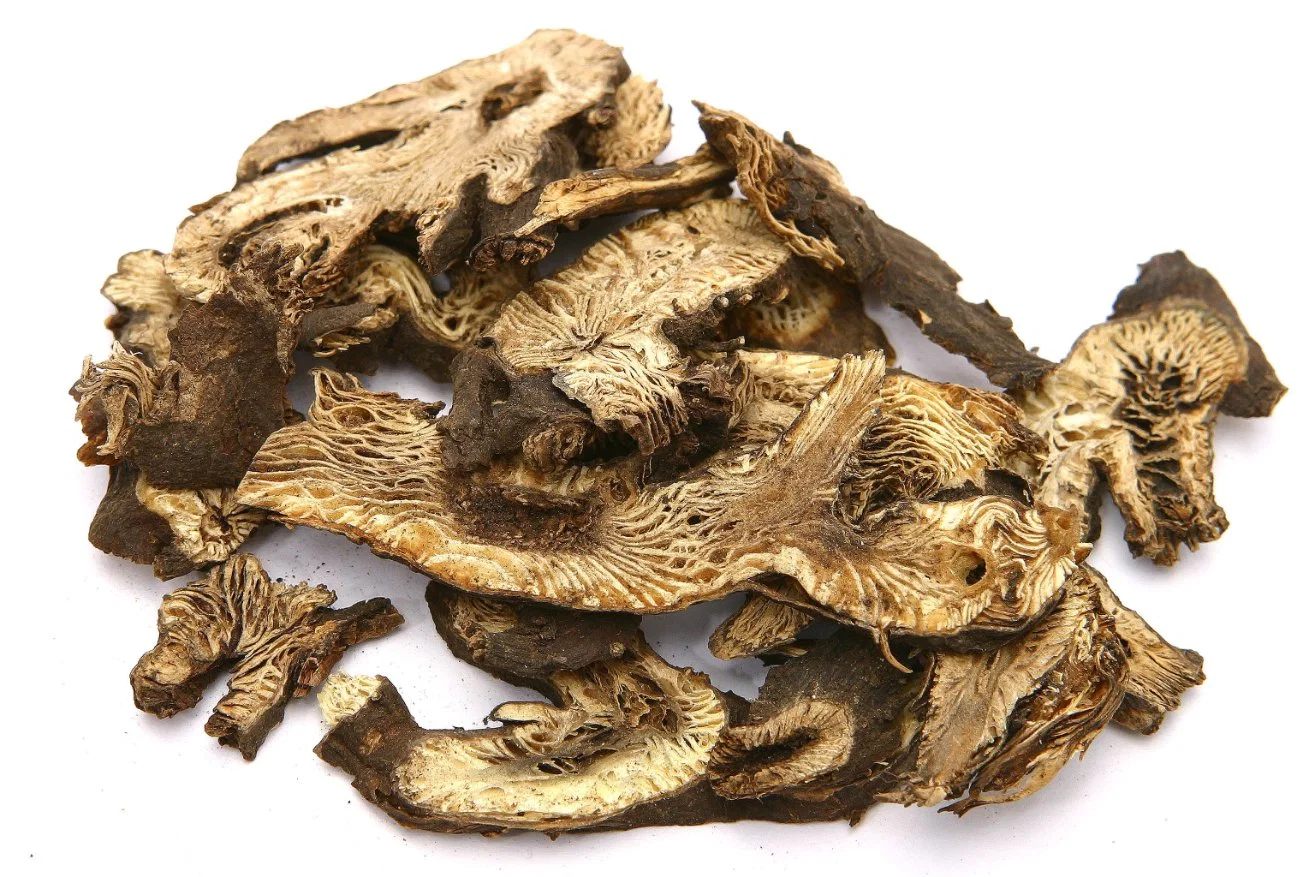 Herbal Raw Materials Cimicifuga Heracleifolia Rhizome Prepared Traditional Chinese Herbal Medicine