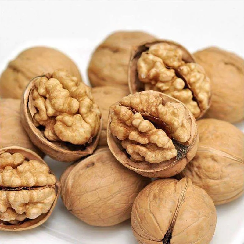 New Crop Harvest Walnut/Walnut in Shell / Walnut Kernel /Food Chinese Nut