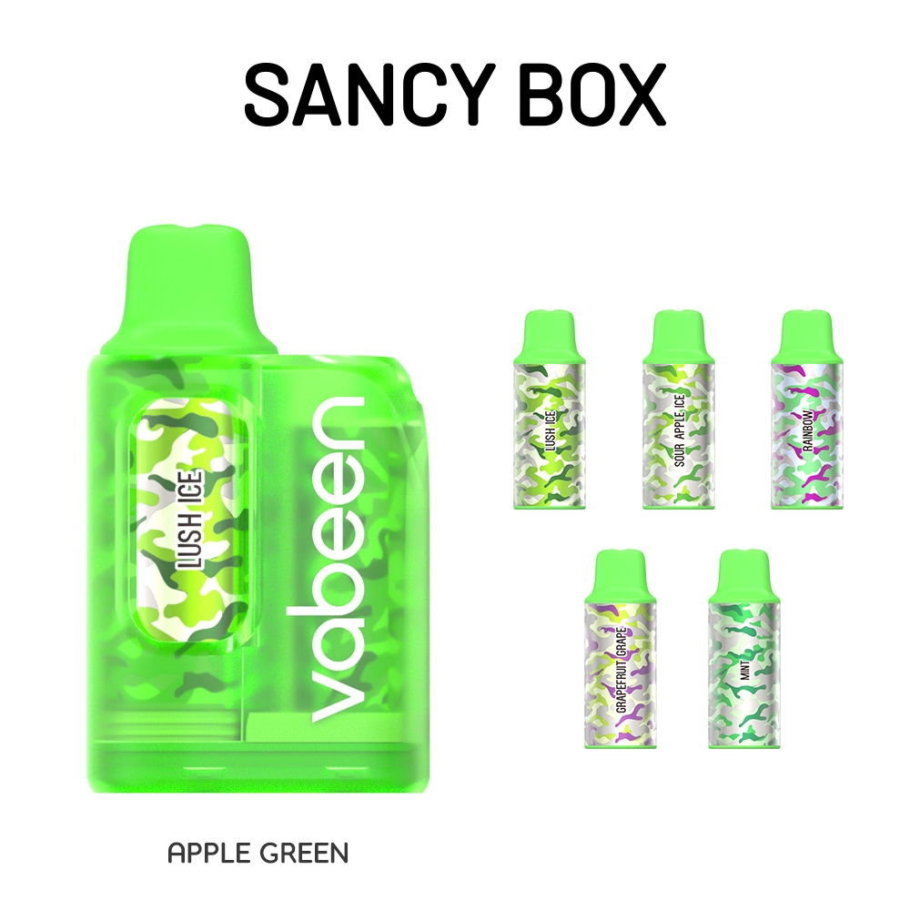 Hot Selling 10ml Large Capacity Disposable/Chargeable Vape Pen Rechargeable 4000 Puffs Vabeen Vape Box