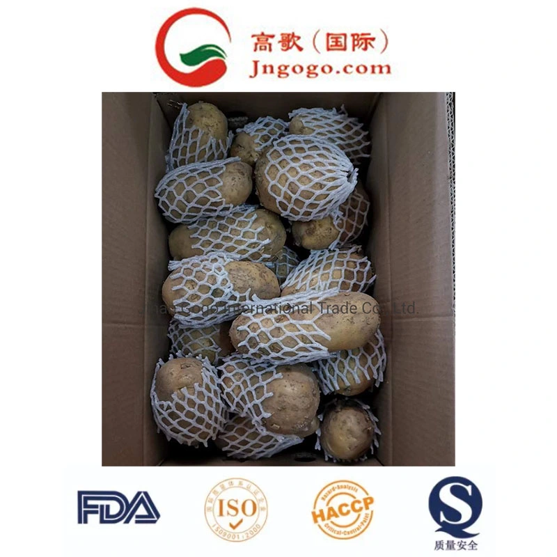 Gogo Holland Potato (50 - 100grams)