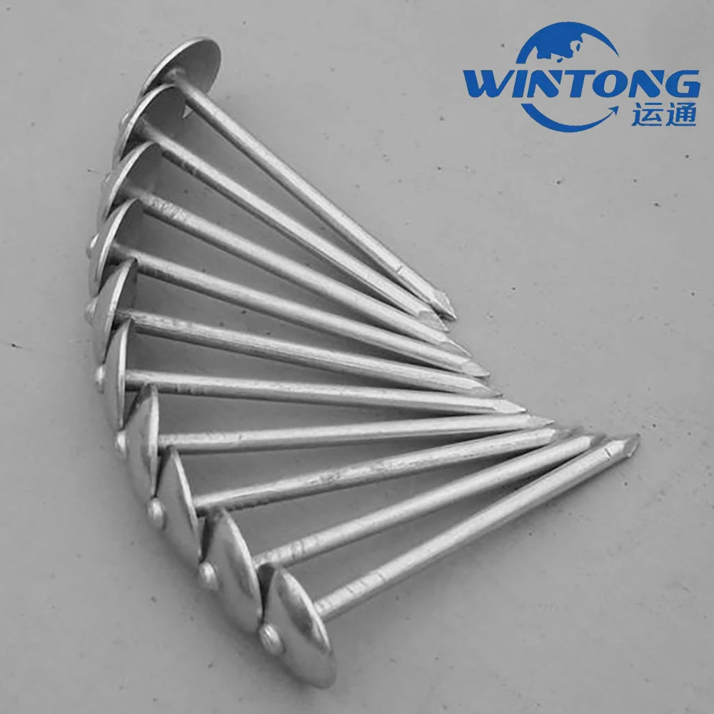 Galvanized Roofing Nail/Wire Nail with High Quality and Competition Price