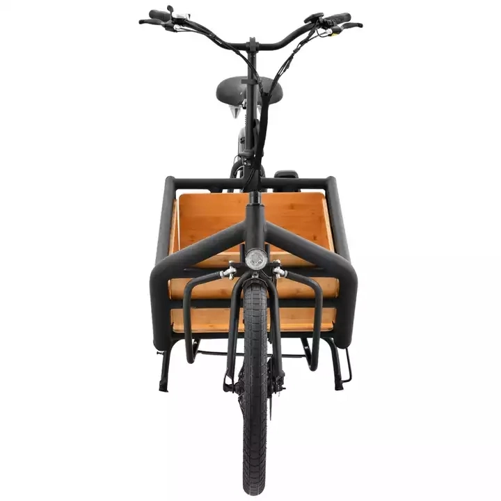 The New Cheap Three Wheel Electric Bike Tricycle 48V 250W E Trike Delivery Bike for Cargo