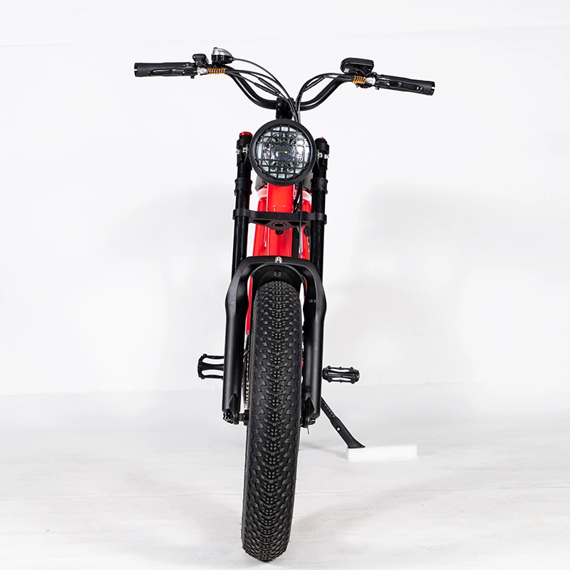 Aluminum Alloy Fat Tire Electric Bike 500W Motor 20ah Lithium Battery