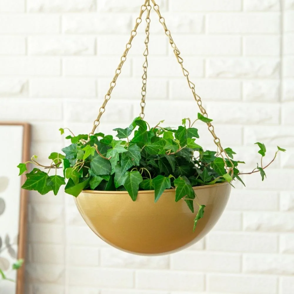 Plant Pot Hanging Planter Flowerpot Golden Hanger Iron Flower Storage Container Lawn House Bl19939