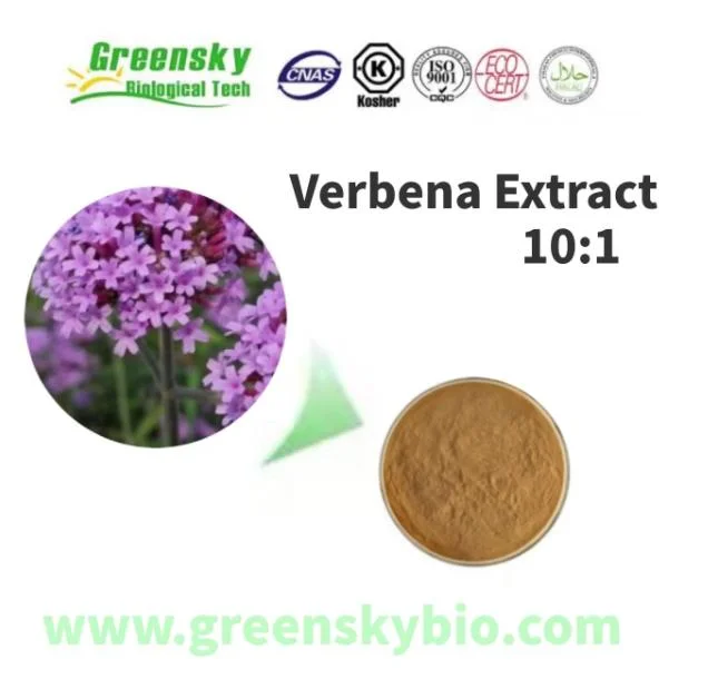 Puro 100% Natural Verbena Officinalis Verbena Extracto 10: 1 Amarillo marrón extracto vegetal en polvo extracto herbal aditivos alimentarios